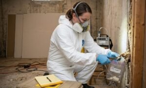 Asbestos Testing for Restoration Projects (1)